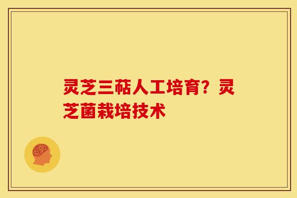 灵芝三萜人工培育?灵芝菌栽培技术