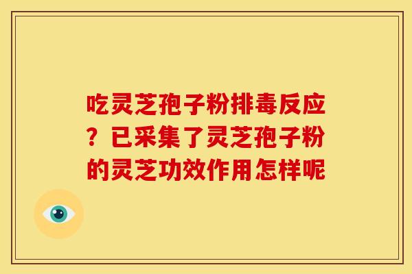 吃灵芝孢子粉排毒反应?已采集了灵芝孢子粉的灵芝功效作用怎样呢