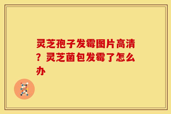 灵芝孢子发霉图片高清?灵芝菌包发霉了怎么办