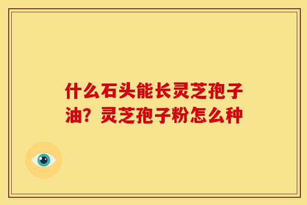 什么石头能长灵芝孢子油?灵芝孢子粉怎么种