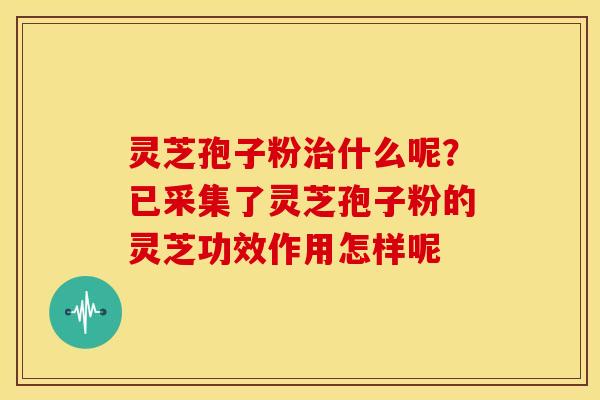 灵芝孢子粉治什么呢?已采集了灵芝孢子粉的灵芝功效作用怎样呢