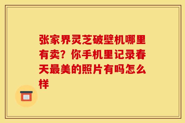 张家界灵芝破壁机哪里有卖？你手机里记录春天最美的照片有吗怎么样