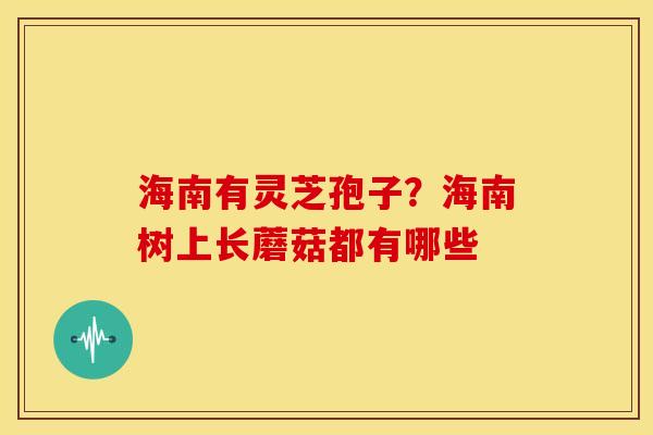 海南有灵芝孢子?海南树上长蘑菇都有哪些