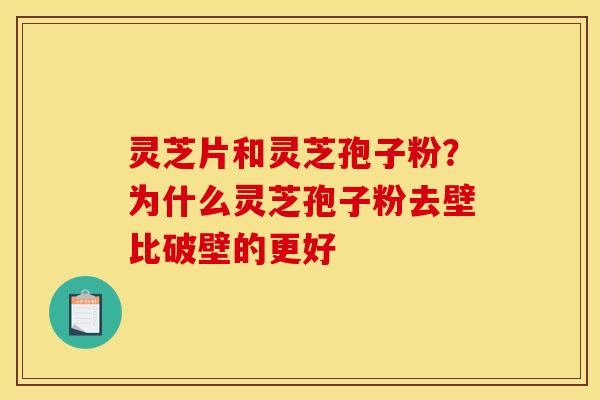 灵芝片和灵芝孢子粉?为什么灵芝孢子粉去壁比破壁的更好