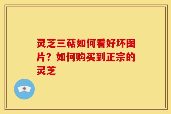 灵芝三萜如何看好坏图片?如何购买到正宗的灵芝