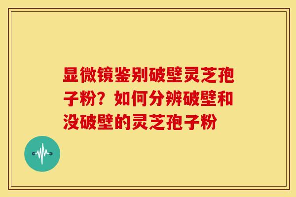 显微镜鉴别破壁灵芝孢子粉？如何分辨破壁和没破壁的灵芝孢子粉