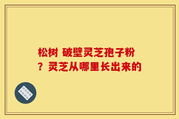 松树 破壁灵芝孢子粉?灵芝从哪里长出来的