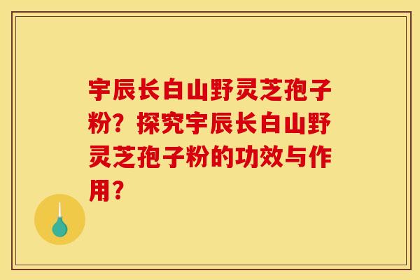 宇辰长白山野灵芝孢子粉?探究宇辰长白山野灵芝孢子粉的功效与作用?