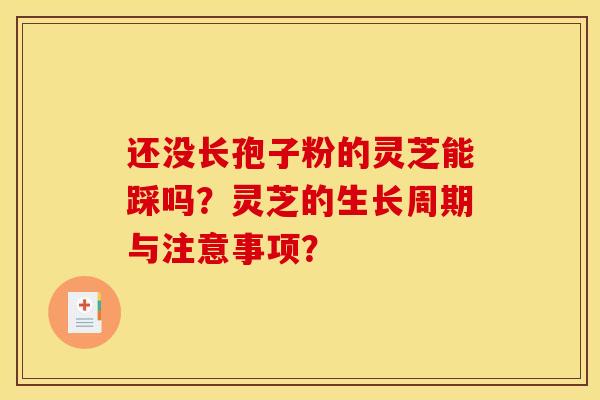 还没长孢子粉的灵芝能踩吗?灵芝的生长周期与注意事项?