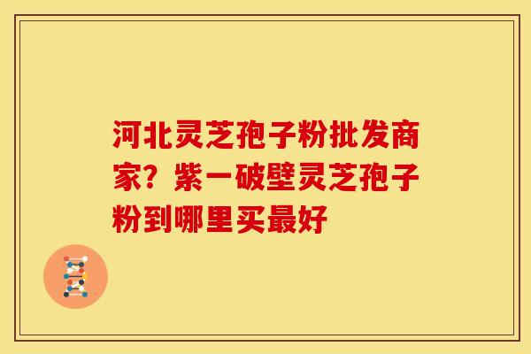 河北灵芝孢子粉批发商家?紫一破壁灵芝孢子粉到哪里买最好