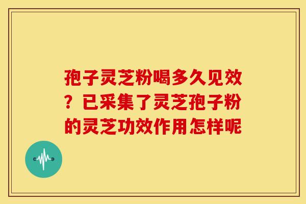 孢子灵芝粉喝多久见效?已采集了灵芝孢子粉的灵芝功效作用怎样呢