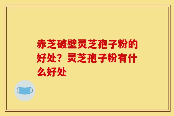 赤芝破壁灵芝孢子粉的好处?灵芝孢子粉有什么好处