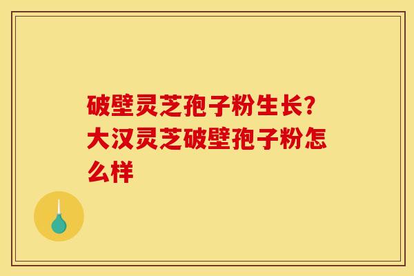 破壁灵芝孢子粉生长?大汉灵芝破壁孢子粉怎么样