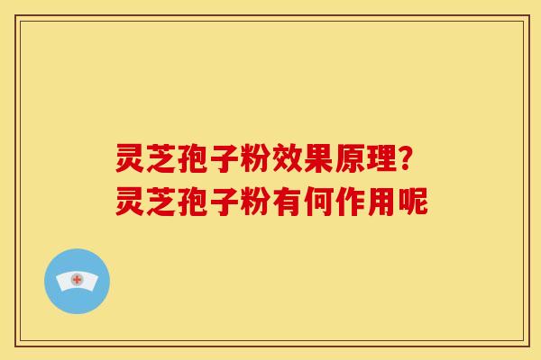 灵芝孢子粉效果原理？灵芝孢子粉有何作用呢