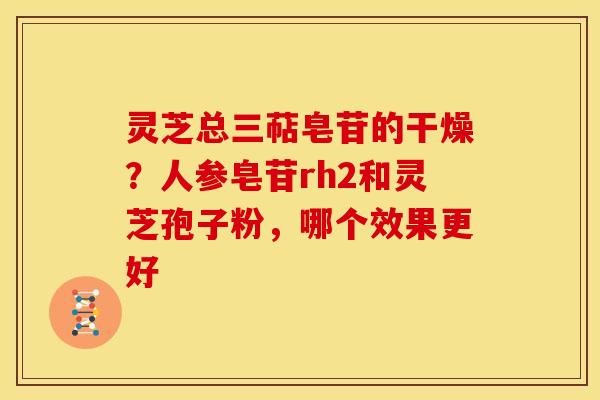 灵芝总三萜皂苷的干燥？人参皂苷rh2和灵芝孢子粉，哪个效果更好