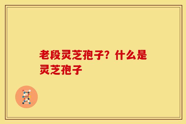 老段灵芝孢子？什么是灵芝孢子