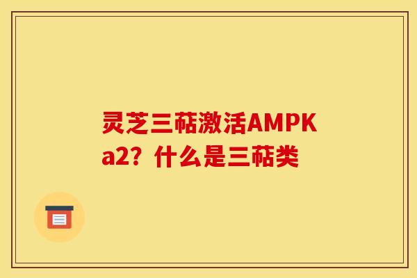 灵芝三萜激活AMPKa2?什么是三萜类