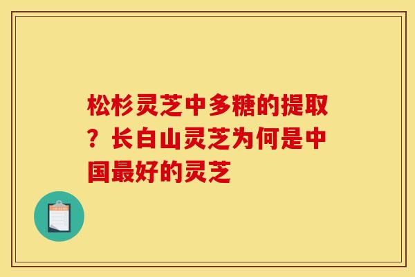 松杉灵芝中多糖的提取?长白山灵芝为何是中国最好的灵芝