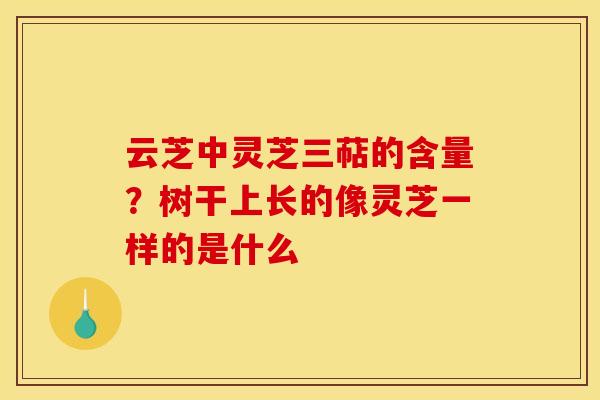 云芝中灵芝三萜的含量？树干上长的像灵芝一样的是什么
