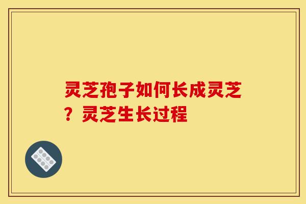 灵芝孢子如何长成灵芝？灵芝生长过程