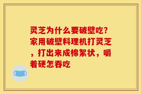 灵芝为什么要破壁吃?家用破壁料理机打灵芝,打出来成棉絮状,嚼着硬怎吞吃