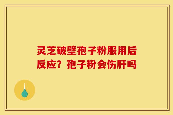 灵芝破壁孢子粉服用后反应?孢子粉会伤肝吗