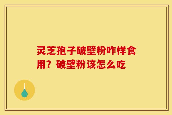 灵芝孢子破壁粉咋样食用？破壁粉该怎么吃