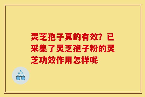 灵芝孢子真的有效?已采集了灵芝孢子粉的灵芝功效作用怎样呢