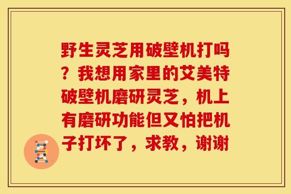 野生灵芝用破壁机打吗?我想用家里的艾美特破壁机磨研灵芝,机上有磨研功能但又怕把机子打坏了,求教,谢谢