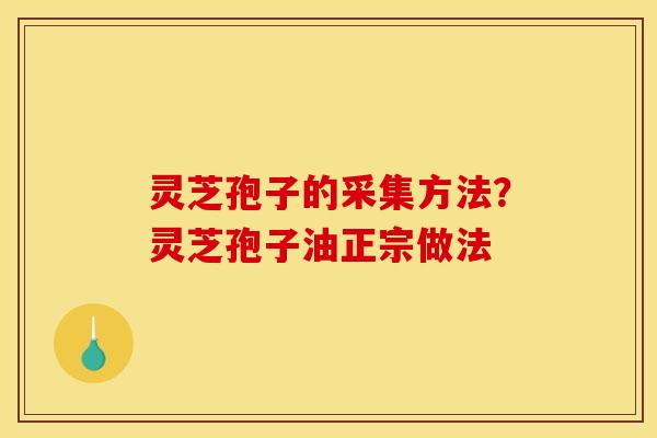 灵芝孢子的采集方法?灵芝孢子油正宗做法