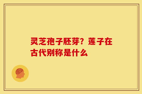 灵芝孢子胚芽?莲子在古代别称是什么