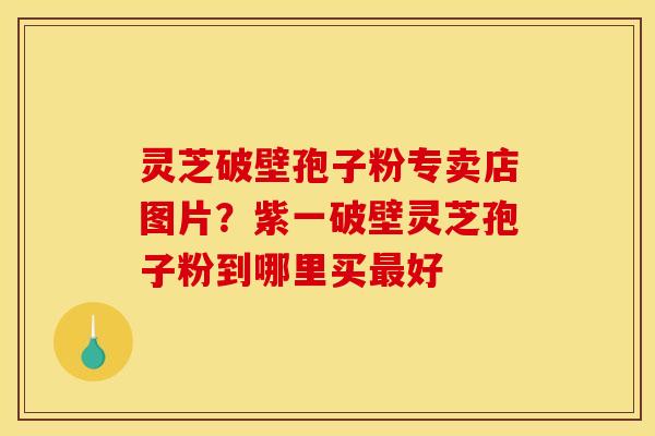 灵芝破壁孢子粉专卖店图片?紫一破壁灵芝孢子粉到哪里买最好