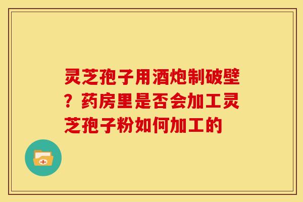 灵芝孢子用酒炮制破壁?药房里是否会加工灵芝孢子粉如何加工的