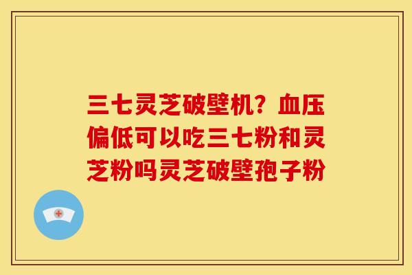 三七灵芝破壁机？血压偏低可以吃三七粉和灵芝粉吗灵芝破壁孢子粉