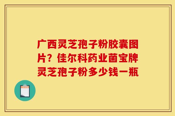 广西灵芝孢子粉胶囊图片？佳尔科药业菌宝牌灵芝孢子粉多少钱一瓶