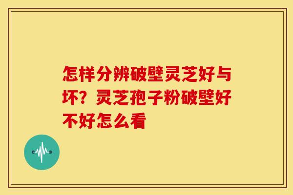 怎样分辨破壁灵芝好与坏?灵芝孢子粉破壁好不好怎么看