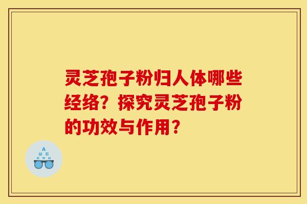 灵芝孢子粉归人体哪些经络？探究灵芝孢子粉的功效与作用？