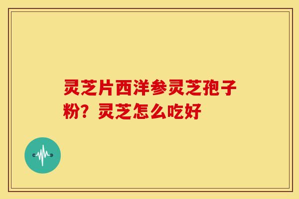 灵芝片西洋参灵芝孢子粉?灵芝怎么吃好