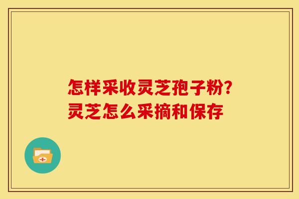 怎样采收灵芝孢子粉？灵芝怎么采摘和保存