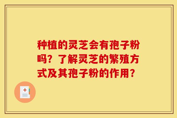 种植的灵芝会有孢子粉吗？了解灵芝的繁殖方式及其孢子粉的作用？