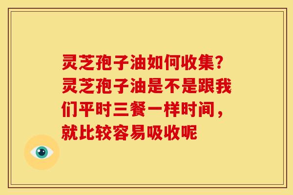 灵芝孢子油如何收集?灵芝孢子油是不是跟我们平时三餐一样时间,就比较容易吸收呢