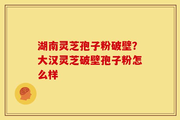 湖南灵芝孢子粉破壁?大汉灵芝破壁孢子粉怎么样