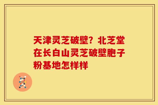 天津灵芝破壁？北芝堂在长白山灵芝破壁胞子粉基地怎样样