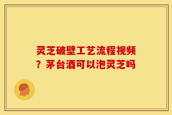 灵芝破壁工艺流程视频?茅台酒可以泡灵芝吗