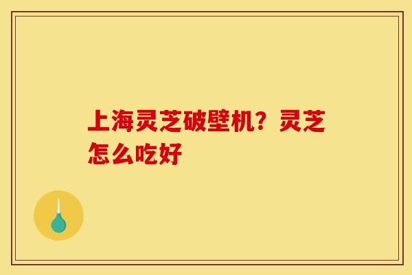 上海灵芝破壁机？灵芝怎么吃好