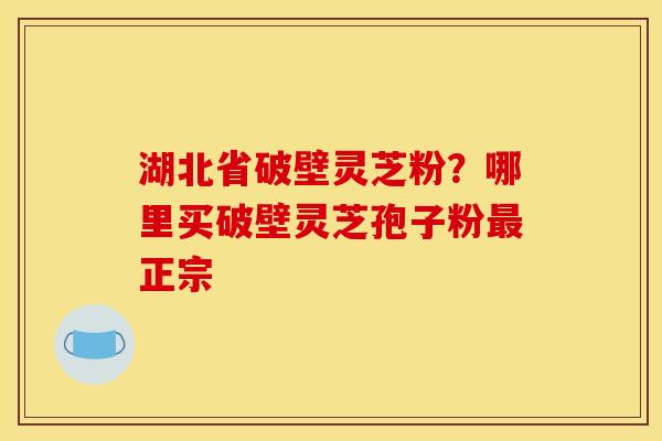 湖北省破壁灵芝粉？哪里买破壁灵芝孢子粉最正宗