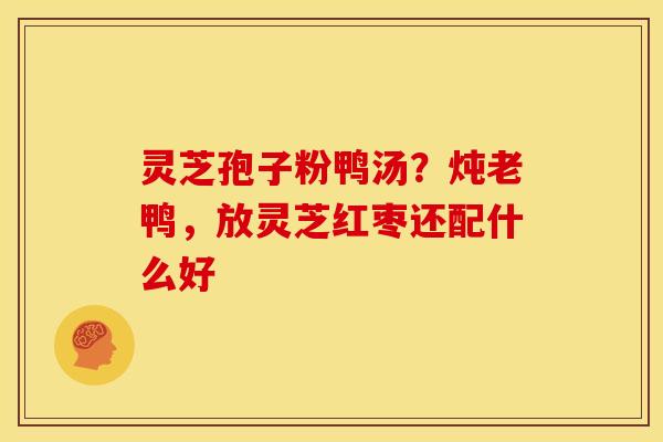 灵芝孢子粉鸭汤？炖老鸭，放灵芝红枣还配什么好