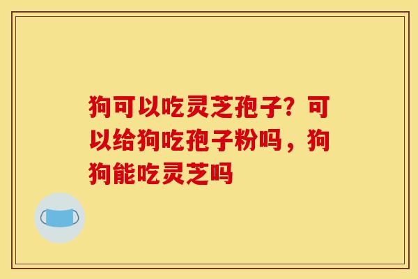 狗可以吃灵芝孢子?可以给狗吃孢子粉吗,狗狗能吃灵芝吗