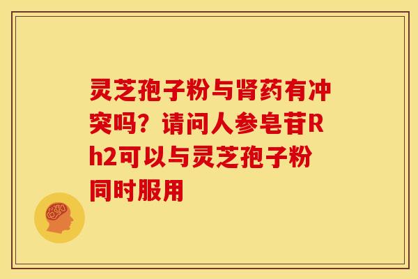 灵芝孢子粉与肾药有冲突吗?请问人参皂苷Rh2可以与灵芝孢子粉同时服用