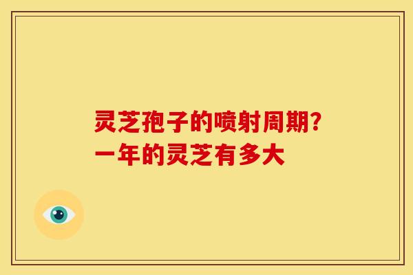 灵芝孢子的喷射周期?一年的灵芝有多大